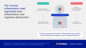 The 'central inflammation map' hypothesis links inflammation and cognitive dysfunction