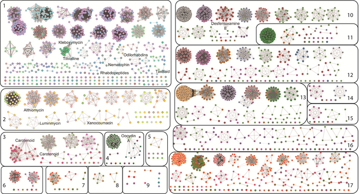 pREDICTED pOTENTIAL OF ENTEROBACTERIA TO pRODUCE NOVEL COMpOUNDS THAT MAY HAVE pATHOGENIC AS WELL AS INDUSTRIALLY-RELEVANT pROpERTIES