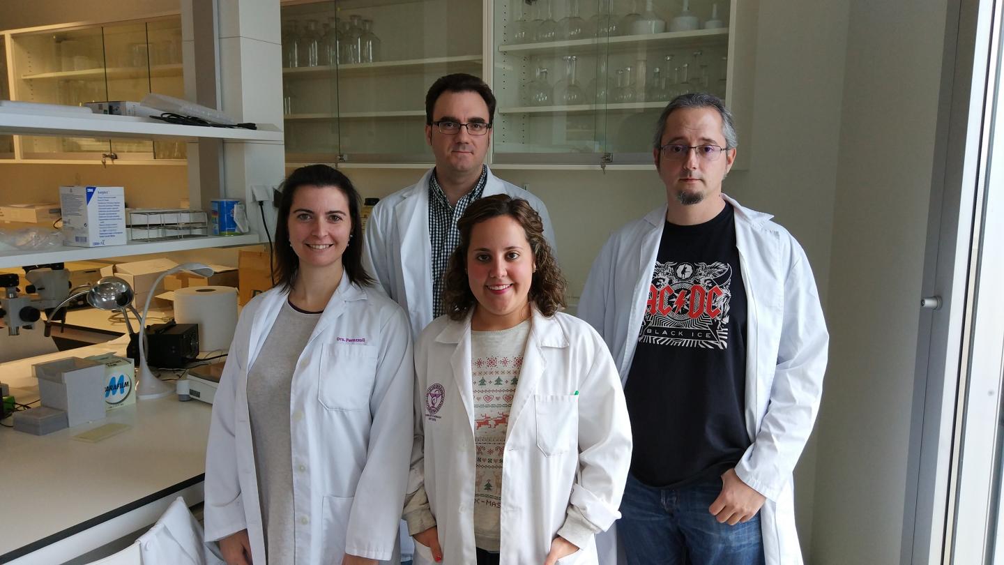Members of the UGR Research Group