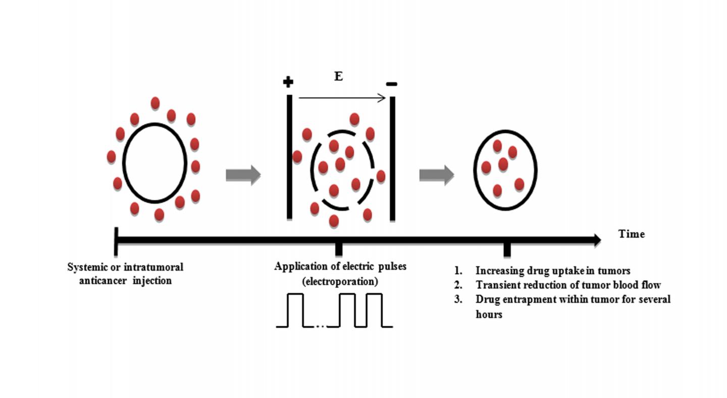 The Role of Electrochemotherapy in Radiosensitization of Tumor Cells