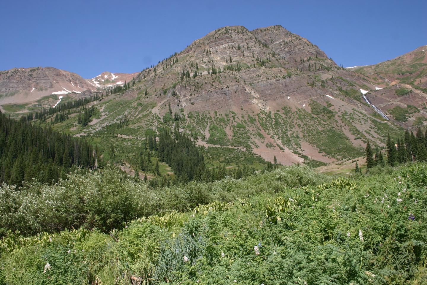 Region of study in the Colorado Rocky Mountains.