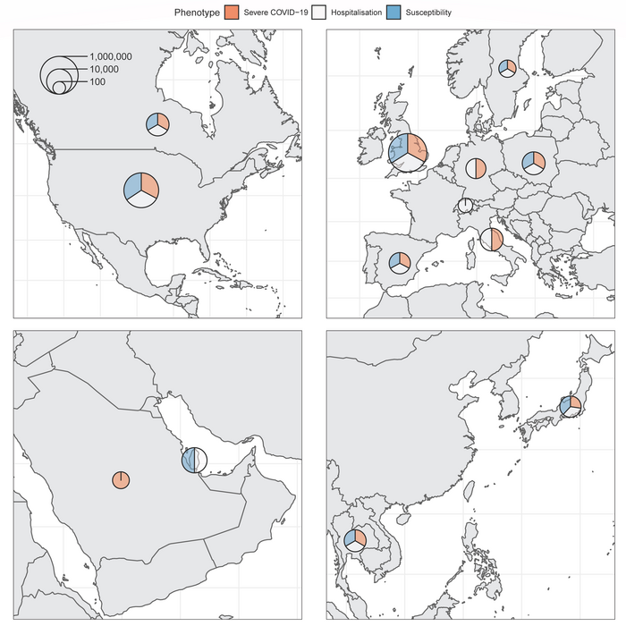 A rare gene variant in the X chromosome TLR7 gene is associated with a five times greater risk of severe COVID-19, in study of individuals across 12 countries