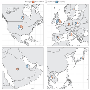 A rare gene variant in the X chromosome TLR7 gene is associated with a five times greater risk of severe COVID-19, in study of individuals across 12 countries