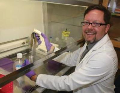 Thomas Webster, Brown University