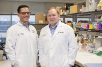 A drug long used to treat gout may help adult heart failure patients - EurekAlert