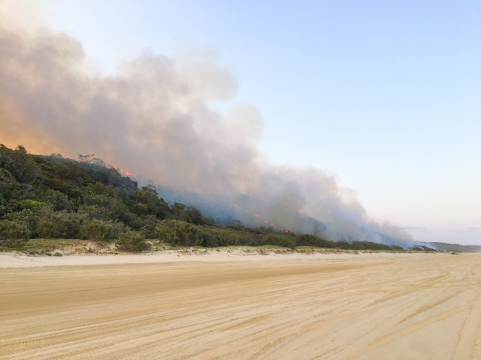 Fire in the dunes