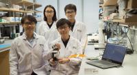 New e-skin Innovation by NUS Researchers Gives Robots and Prosthetics An Exceptional Sense of Touch