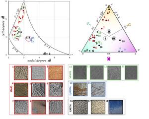 Figures and Graphs from the Paper