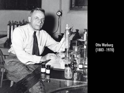Otto Warburg