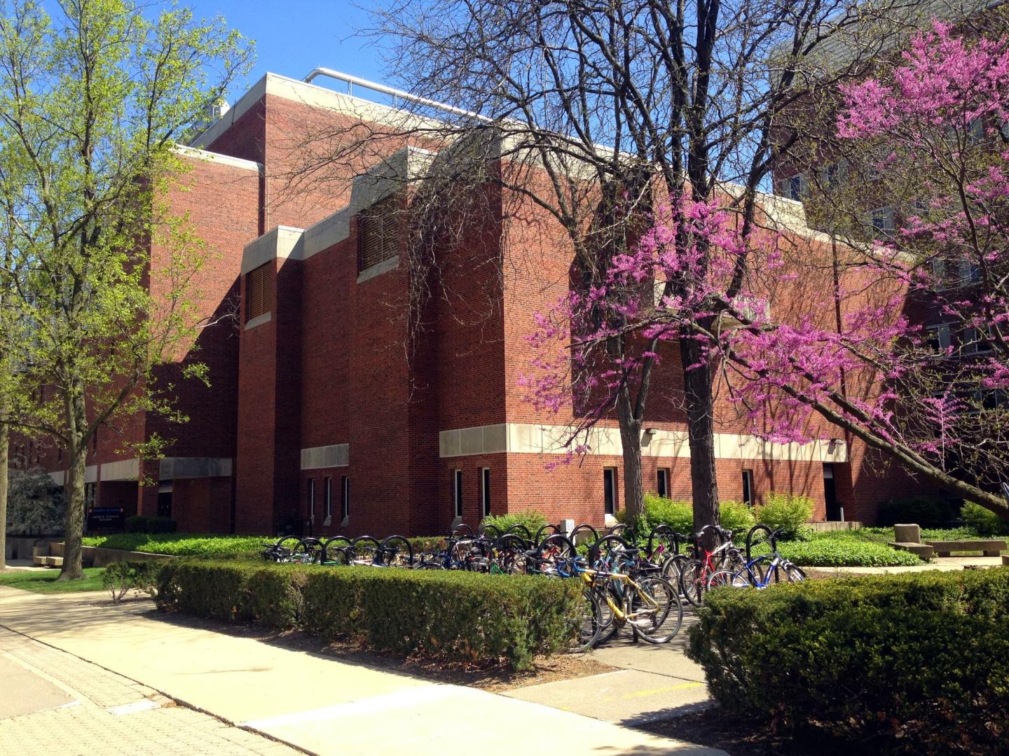 University of Illinois College of Medicine at Urbana-Champaign