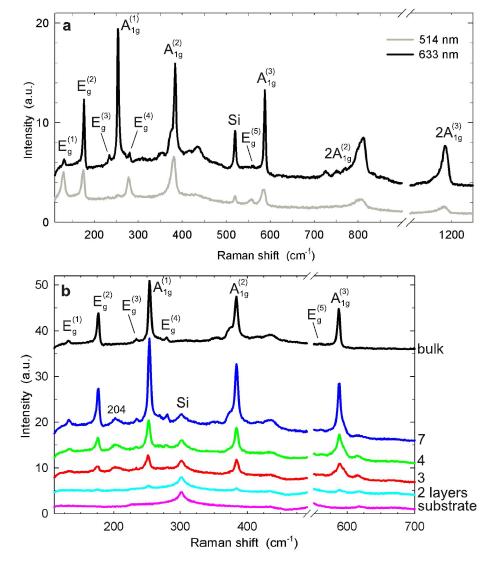 Raman Spectra