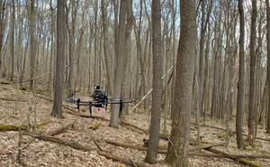 Droneinthewoods