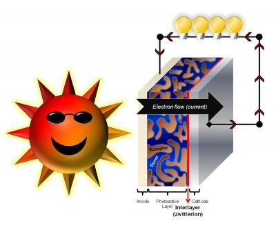 A Zwitterionic Fullerene Layer Improves the Efficiency of Organic Solar Cells