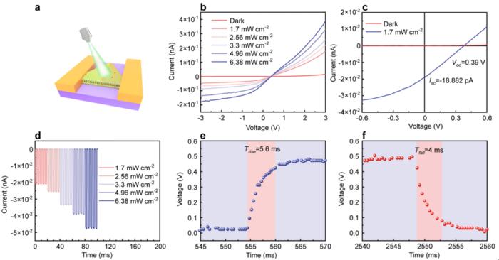 Figure 3 | The photoelectric performance of WS₂ lateral p-n homojunction photodetector