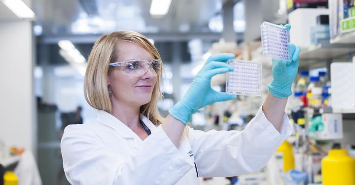 Dr Kerstin Brinkmann