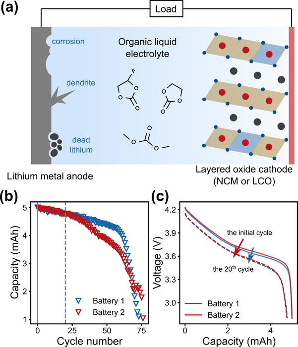 Typical architecture and performance of LMBs with a layered oxide cathode.