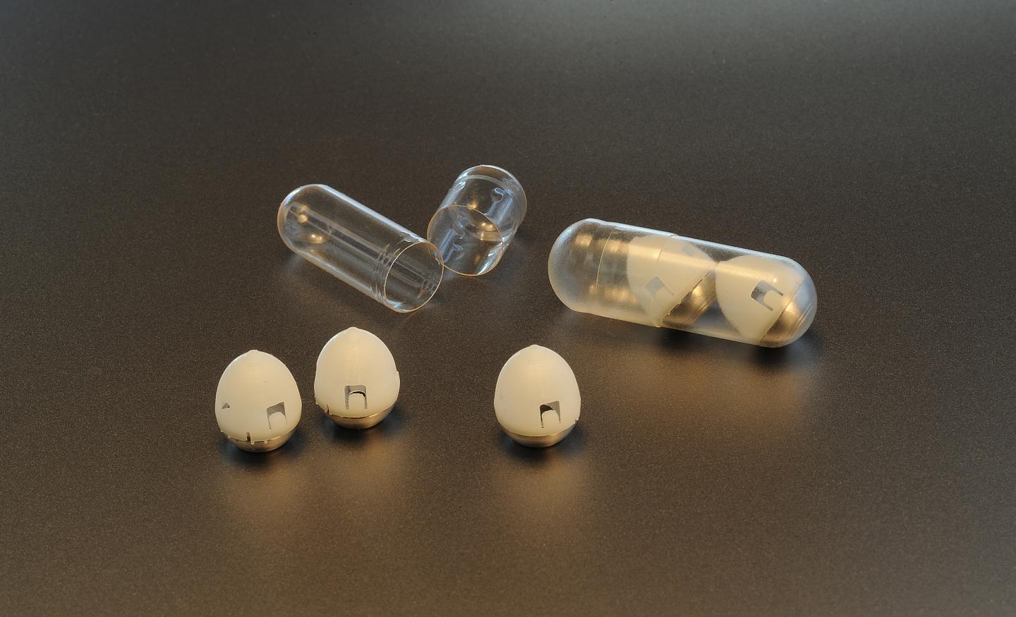 Ingestible Injections Made Possible by a Tortoise-Inspired Drug Delivery Device (1 of 3)