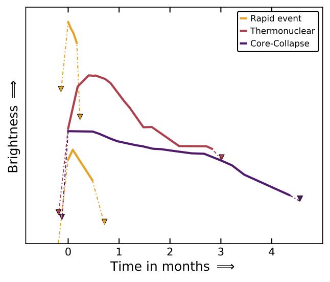 Evolution of Brightness for Two Quick Transient Events and Two Typical Supernovae