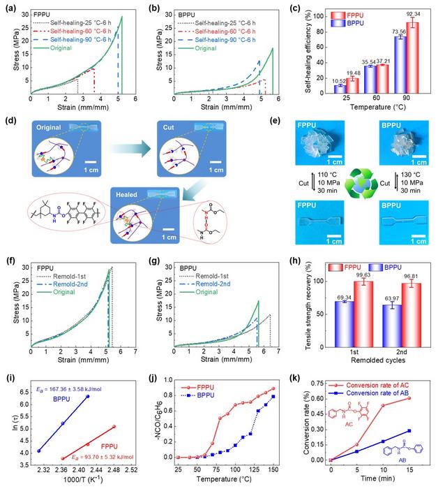 Self−healing performance and reprocessing behaviors of FPPU and BPPU elastomers.