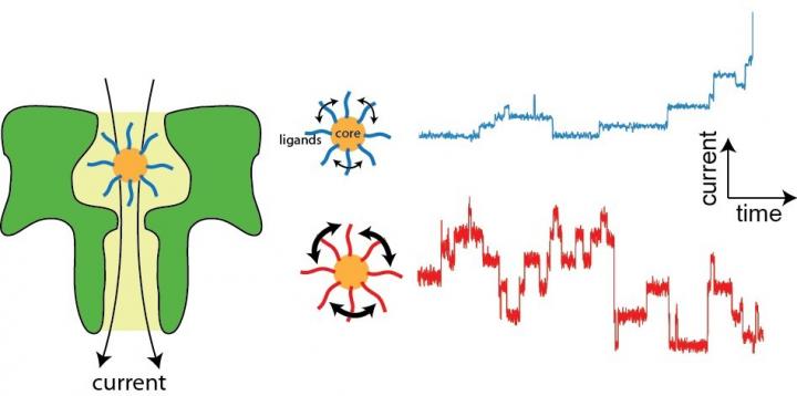 Nanopore Sensing