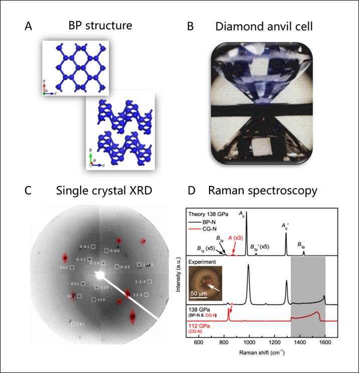 High Pressure Experiments Reveal BP-Structured Nitrogen