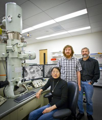 Dongsheng Li, Michael Nielsen and Jim DeYoreo, DOE/Lawrence Berkeley National Laboratory