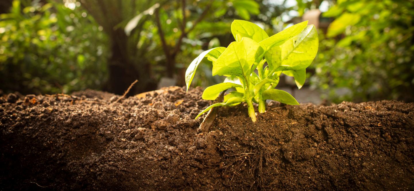 Fabricating Soils