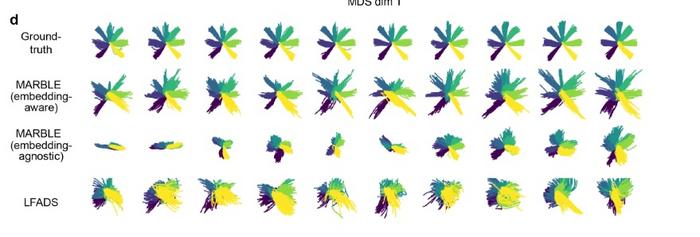 Hand trajectories linearly decoded from MARBLE representations show much stronger spatial correspondence to ground-truth kinematics than other deep learning methods