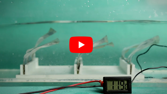 Plugging into ocean waves with a flexible, seaweed-like generator (video)
