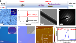 Comparison of the fiber and thin film formed on SiO2/Si and Cu substrates using the same C12S3Br6 molecule source