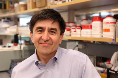 Shoukhrat Mitalipov, Ph.D., Oregon Health & Science University