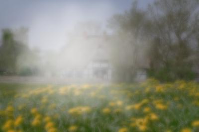 Cataract Effects (2 of 3)