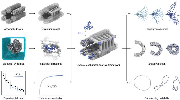 Figure 1. Conceptual Diagram of the Predictive Technology for Mechanochemical Changes in DNA Nanostructures