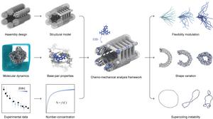 Figure 1. Conceptual Diagram of the Predictive Technology for Mechanochemical Changes in DNA Nanostructures