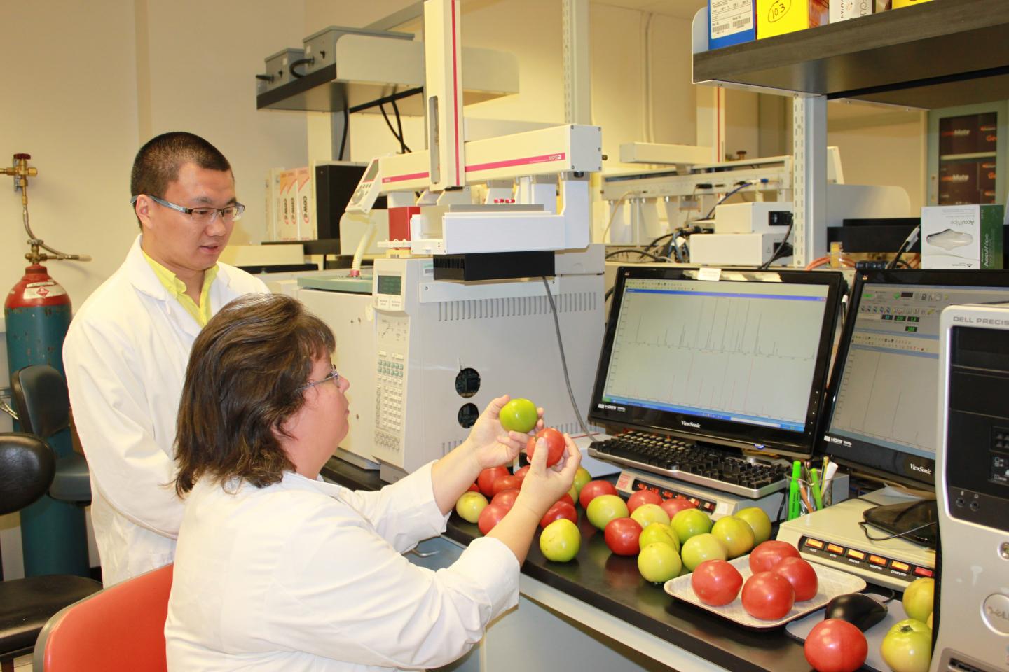 Common Kitchen Practices Detrimental to Tomato Aroma