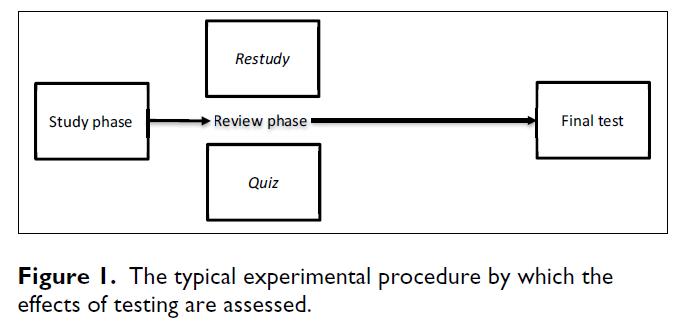 Figure 1: Typical Experimental Procedure