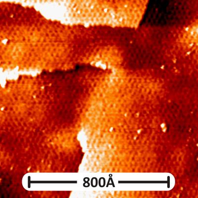 Topography of Graphene on Gold