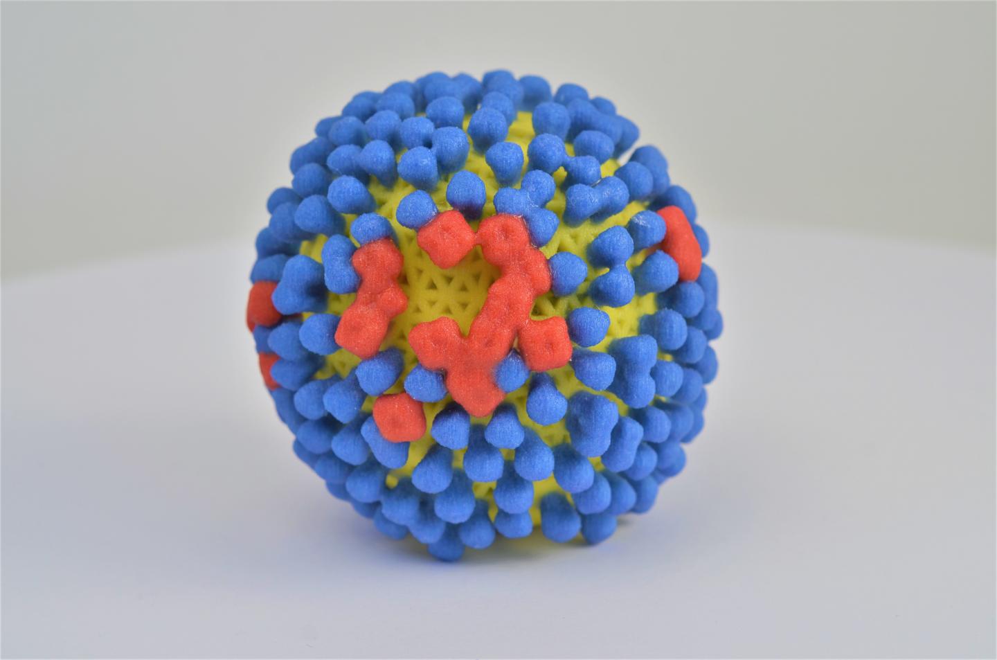 A Picture of a  3-D Printed Influenza Virus