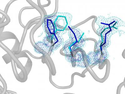 The Hidden Lives of Proteins