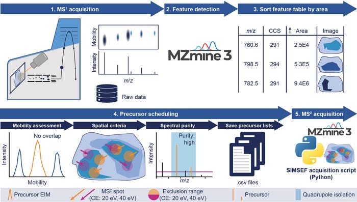 Graphical abstract