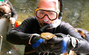 Hopkins with hellbender