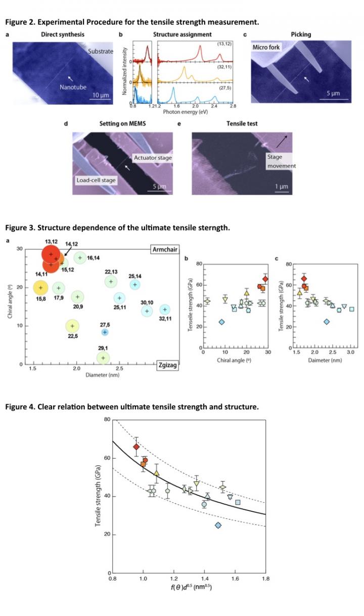 Experimental Procedures