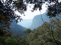 Long-Term Resilience Of Earth's Tropical Fore | EurekAlert!