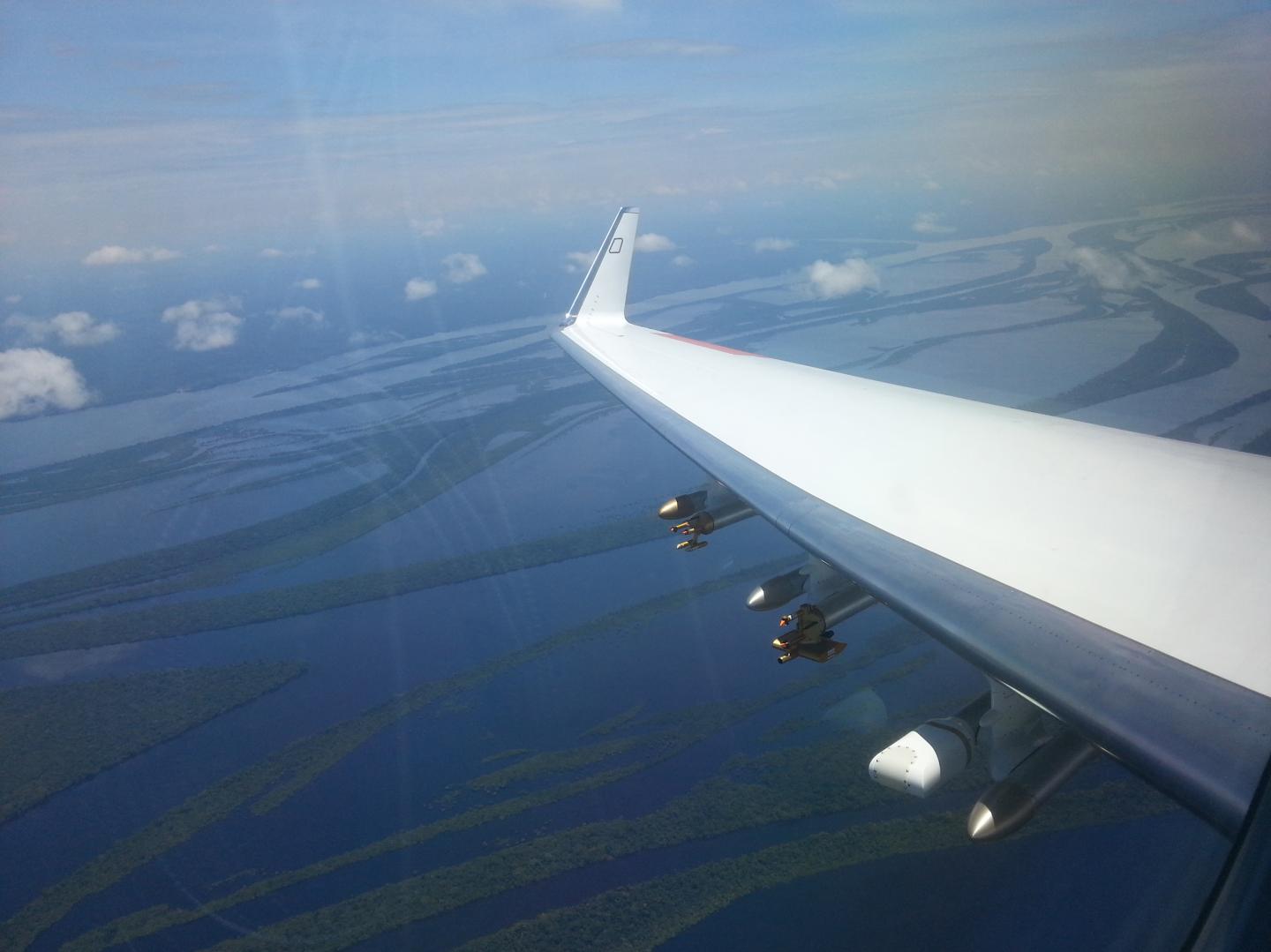 View on the Amazon River