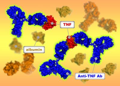 Figure 1 Fluorescence-Detected Analytical Ultracentrifugation 