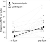 Proportion of Extra-Pair Offspring in Experimental Pairs