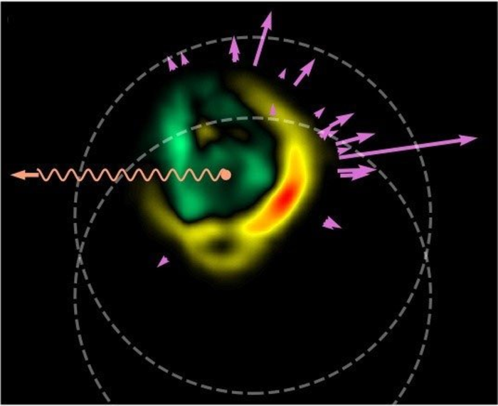 Searching for Mach Waves Inside a Perfect Liquid