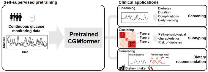 CGMformer pretrained on a diverse corpus of CGM data captures individual’s glucose dynamics and enables clinical applications.