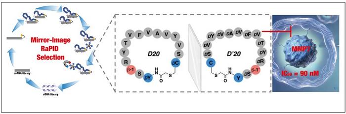 MI-RaPID Method