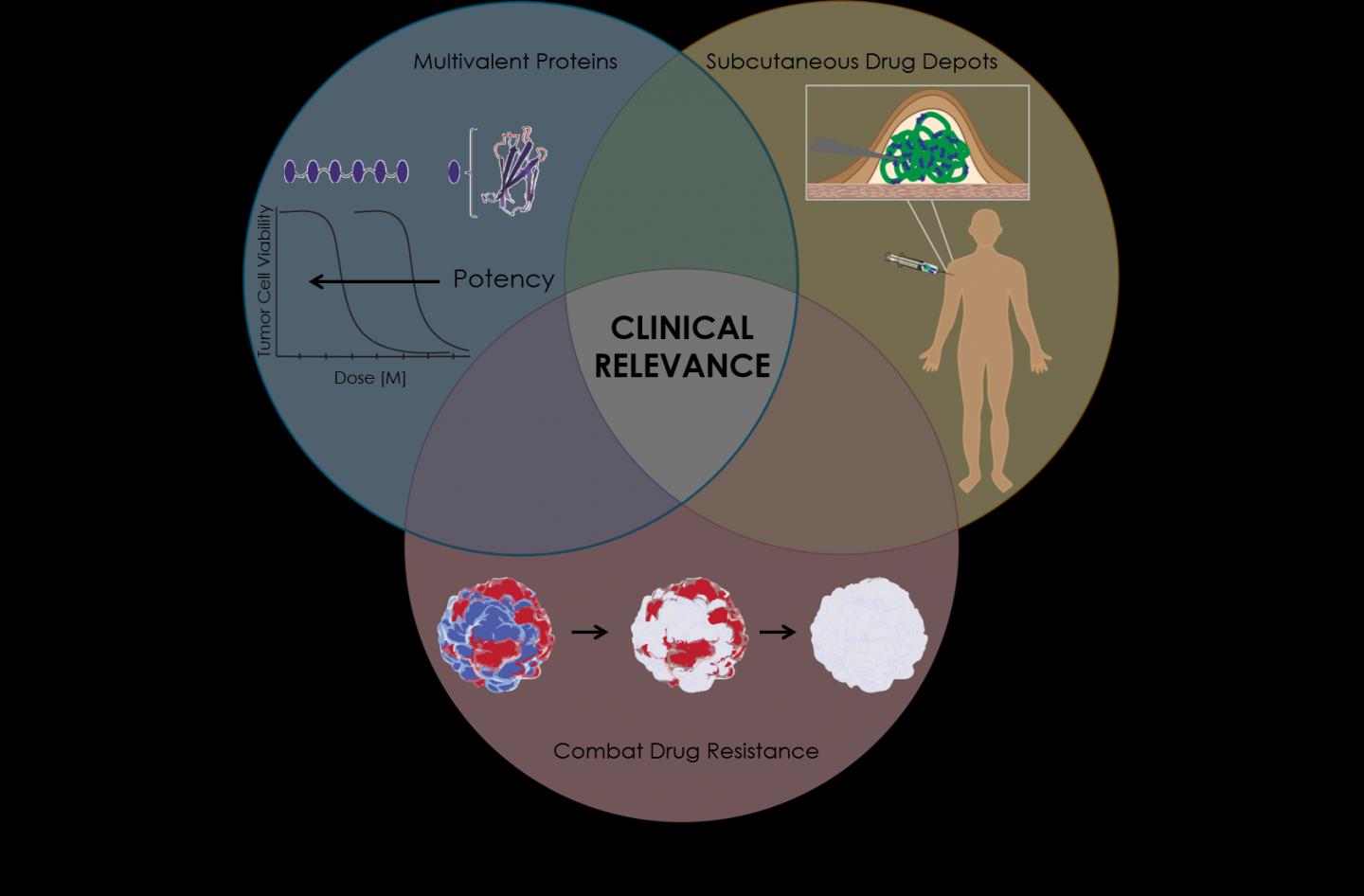 Clinical Relevance Graphic